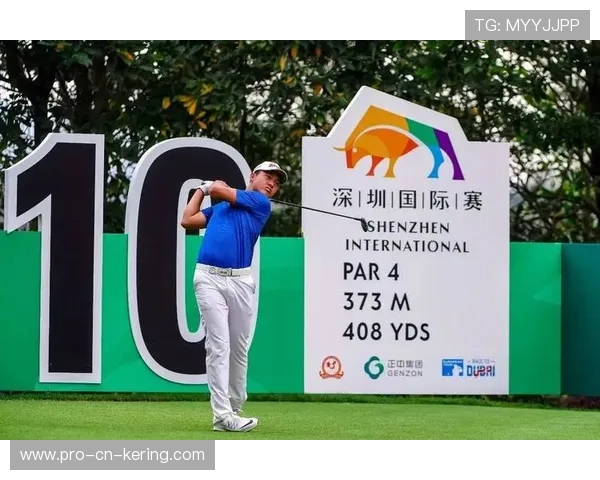 南非主力表现抢眼，带队取关键胜利，南非it