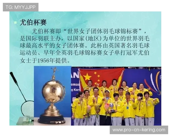 国际羽毛球赛场安装新型温控设备改善比赛环境，羽毛球比赛场地设备